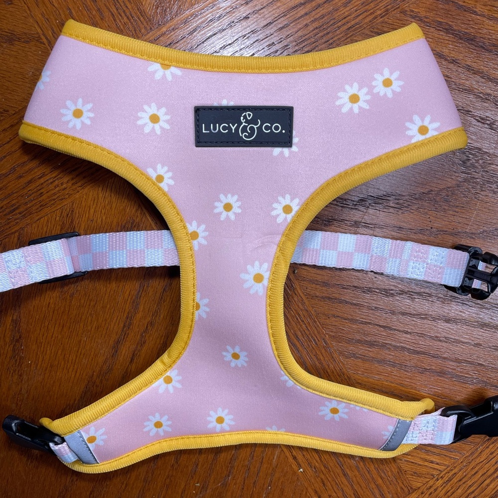 Brand new dog harness.